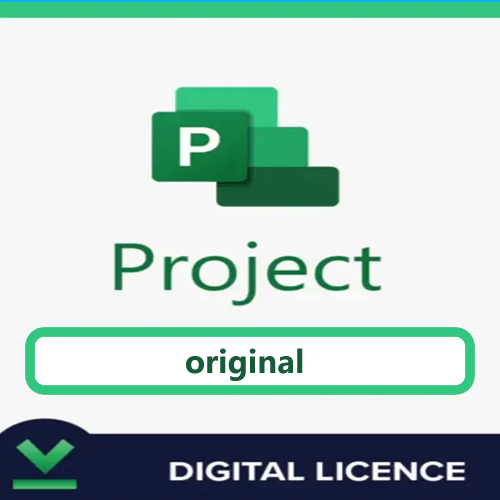 ms project